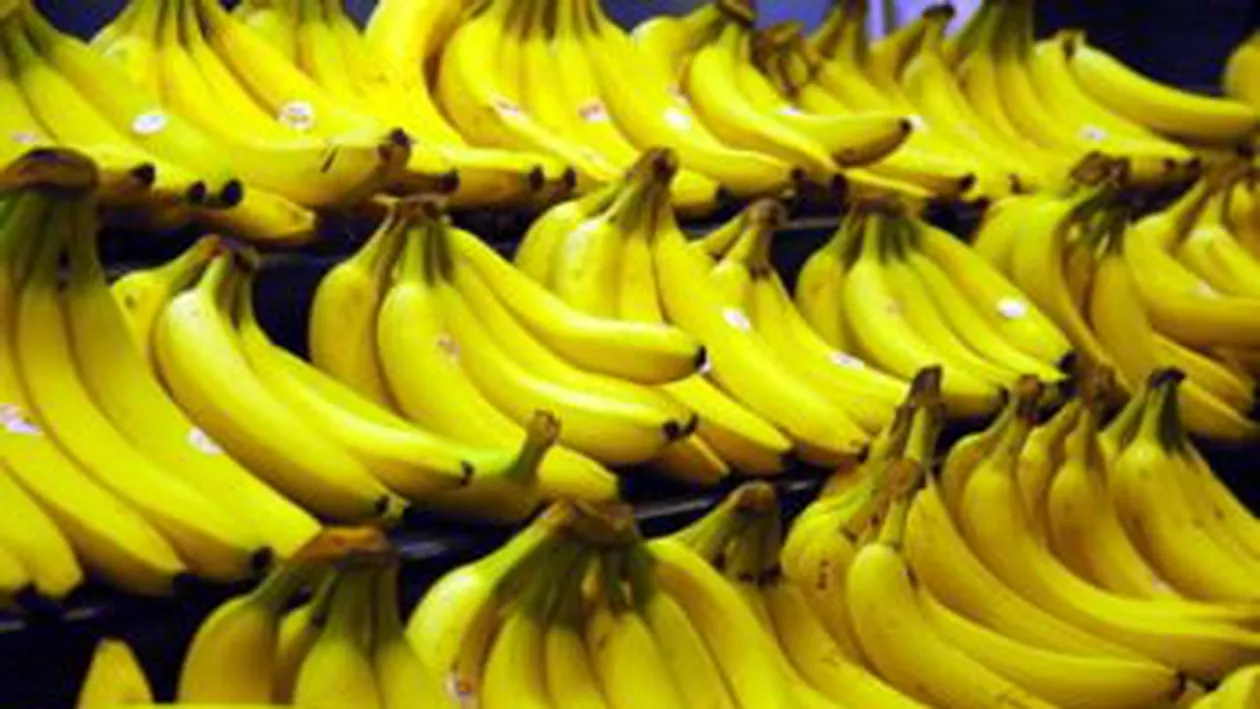România exportă banane cu sâmburi şi a început cultivarea castraveţilor africani
