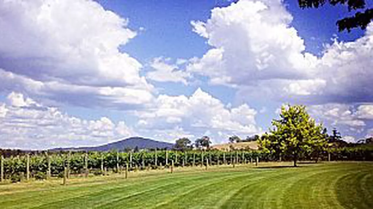 Temperaturi de până la 16 grade. Miercuri vremea se încălzește. Vezi prognoza meteo