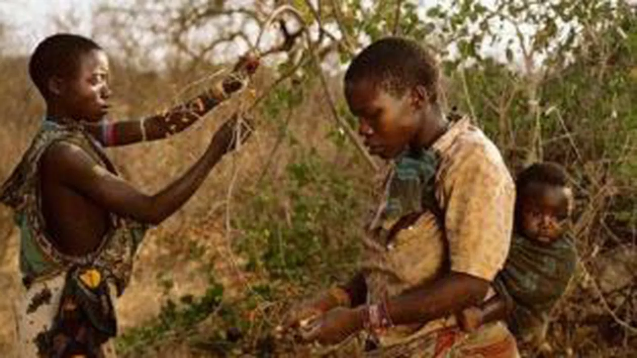 O limbă preistorică vorbită în Africa, la baza tuturor limbilor din lume