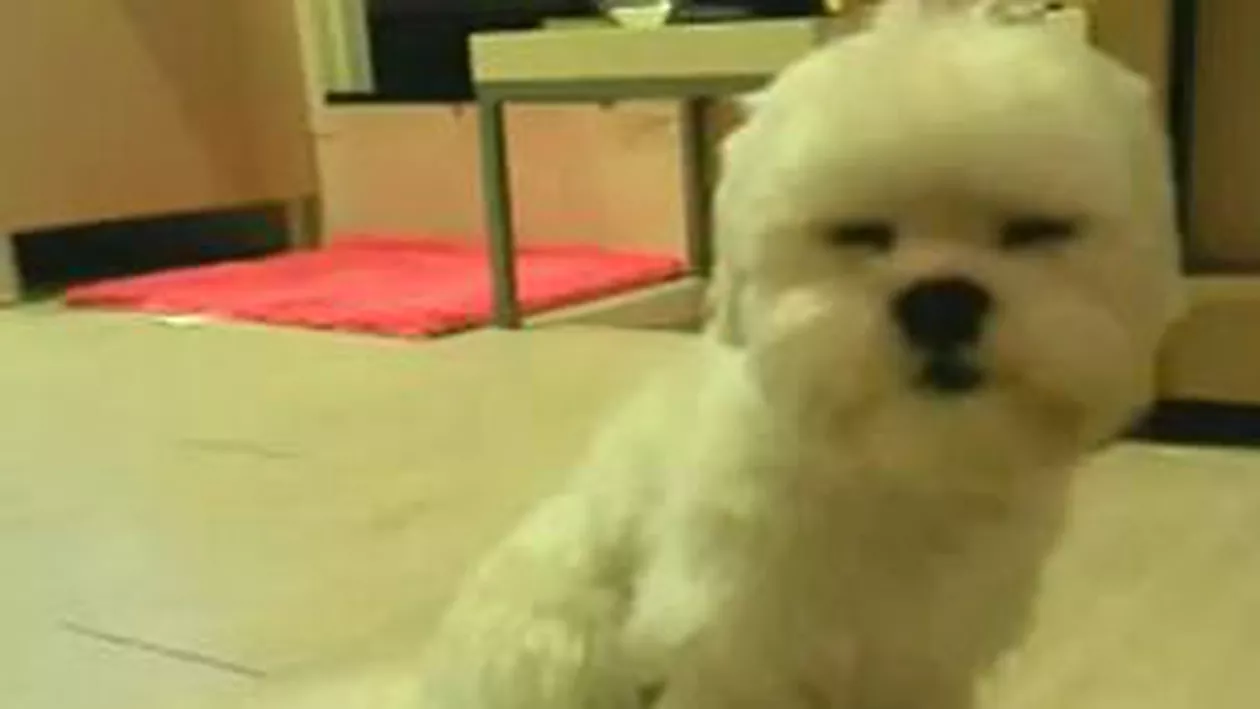 Suzane Thabet, soţia lui Hosni Mubarak, eliberată pe cauţiune