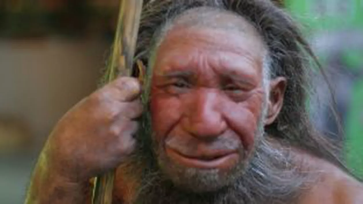 Profilul omului din Neanderthal: dreptaci şi având capacitatea de a folosi limbajul