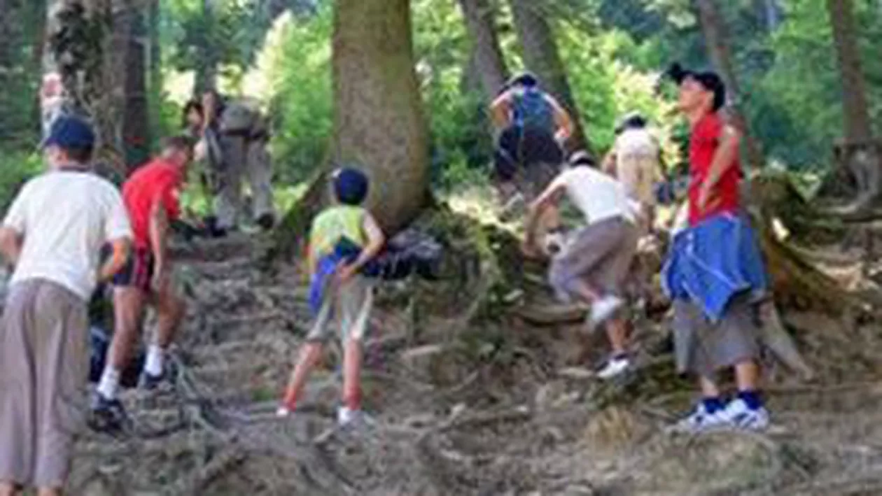 Șaptezeci de copii din Iași, blocați de averse pe munte