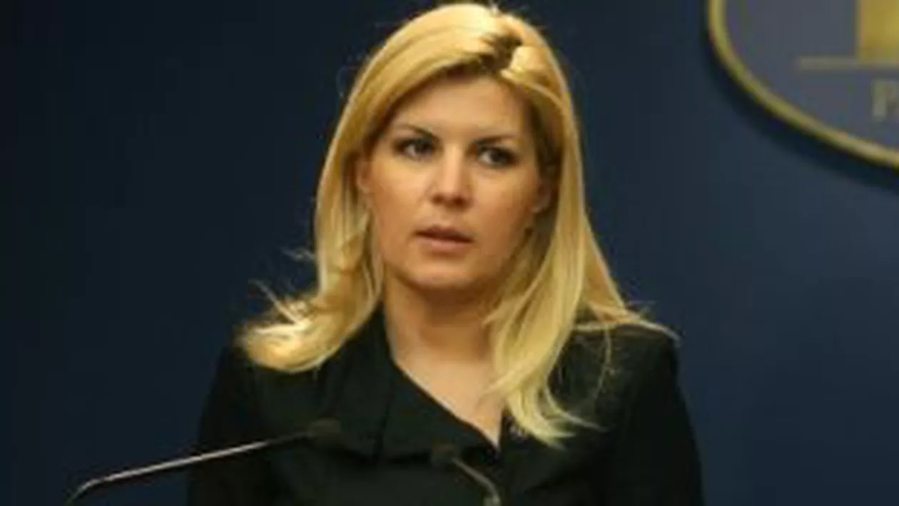 Udrea: Nu voi candida la Preşedinţie, la Primăria Capitalei sau la funcţia de premier