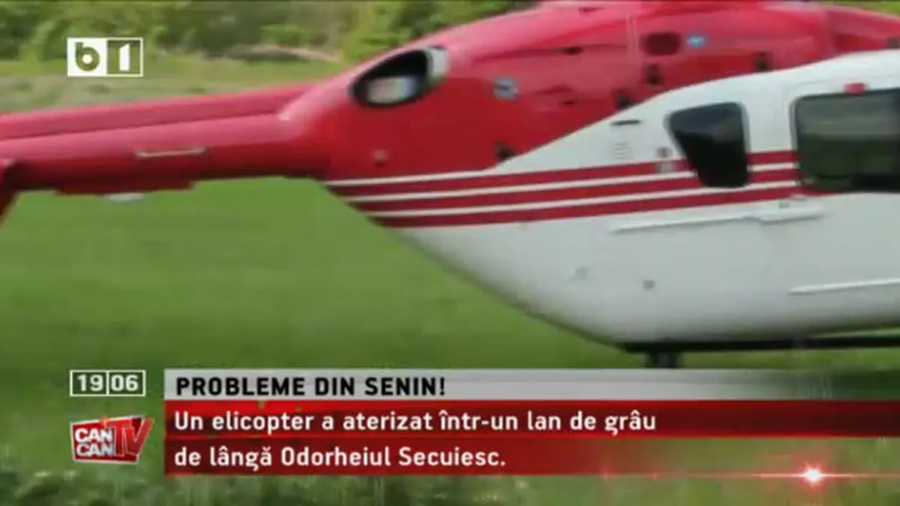 Un nou pericol pentru populație, pe timp de vară: Borelioza