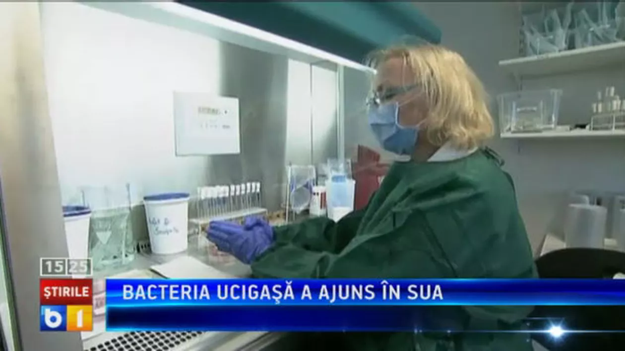 Elena Udrea: Ideea unui minister al fondurilor europene, binevenită