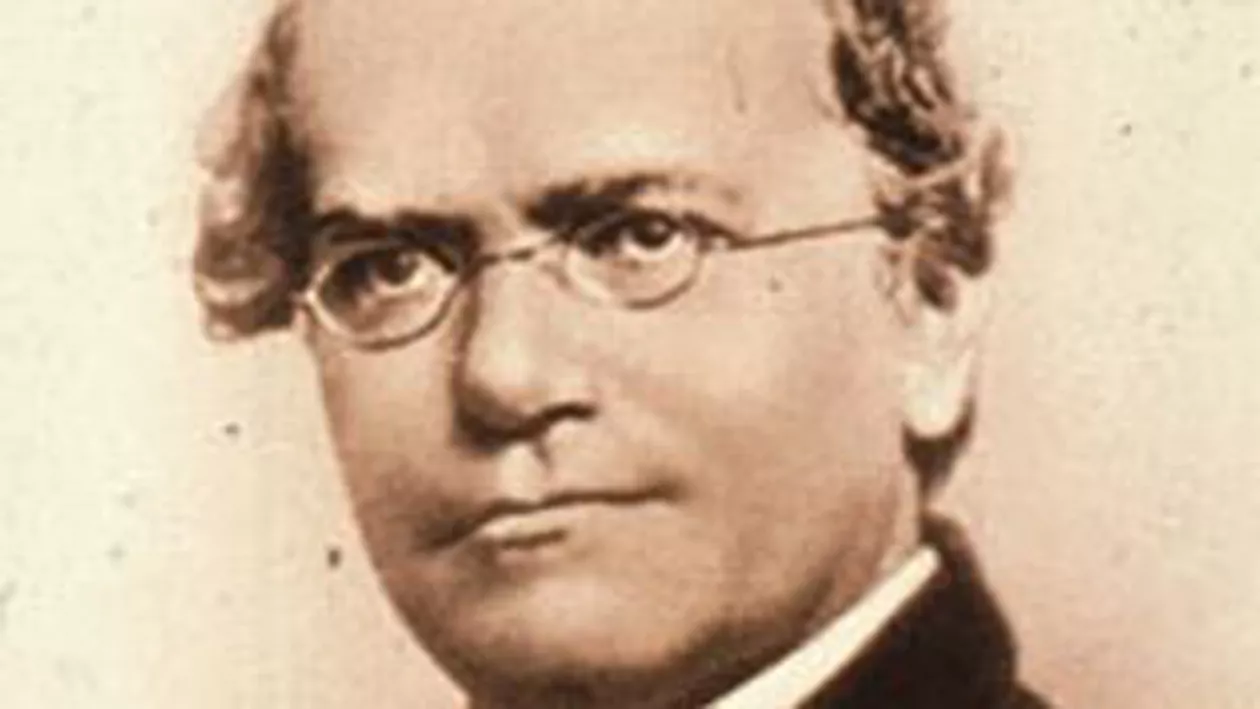 Google aniversează 189 de ani de la nașterea lui Gregor Mendel, părintele geneticii moderne