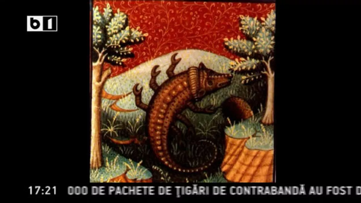 Jocurile Mondiale Universitare: Două medalii de aur și câte una de argint și bronz pentru România