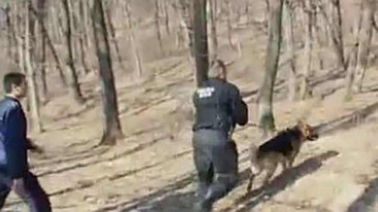 Un deținut a evadat de la un penitenciar de lângă Hațeg