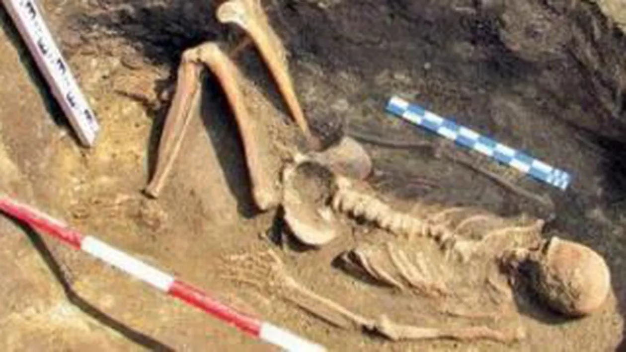 Schelete datând din Epoca Bronzului, descoperite lângă Ploiești