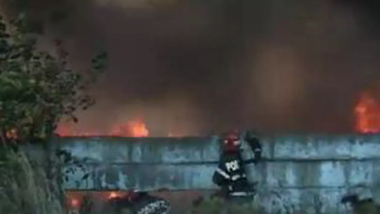 Incendiu puternic în Bacău: Un depozit de cereale, cuprins de flăcări