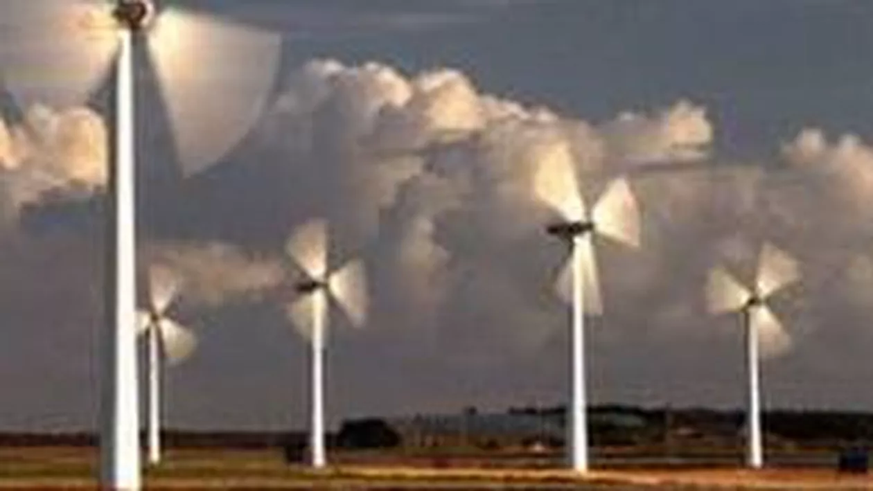 Guvernul a aprobat ordonanța prin care se acordă ajutor de stat pentru energia regenerabilă