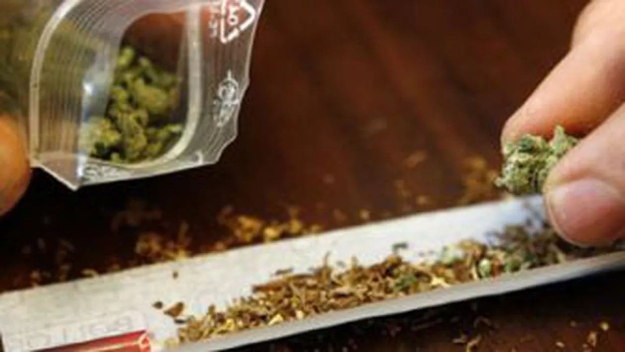 Caraș-Severin: Doi bărbați au fost reținuți pentru deținerea a șapte kilograme de cannabis