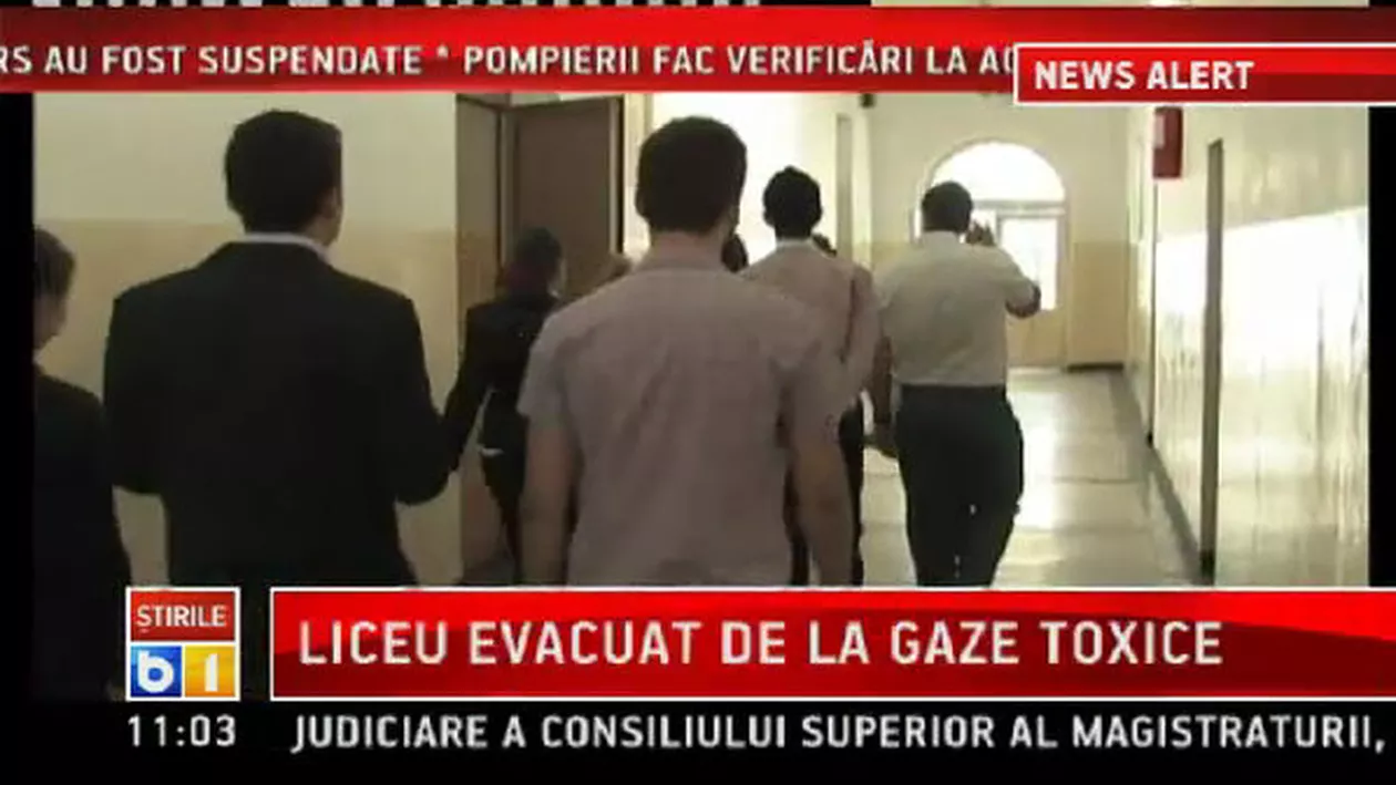 Designer excentric: A creat rochii din 3.000 de sfârcuri de iac și vacă (FOTO)
