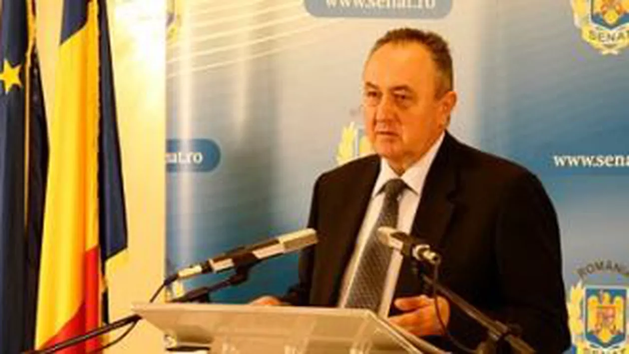 Liderul senatorilor PDL, despre Legea asistenței sociale: După perversiuni, nu puteam să-i dăm drumul fată mare pe piață