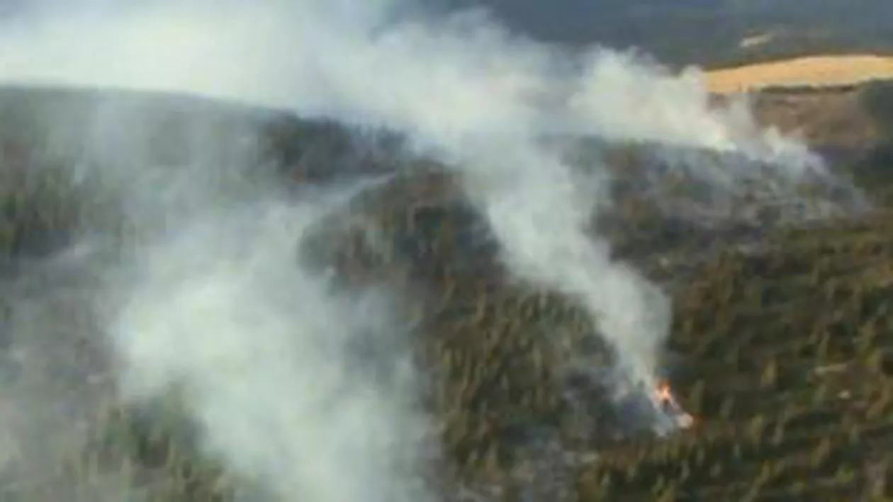 Transalpina: Peste 60 de hectare de vegetație au fost afectate de incendii (VIDEO)