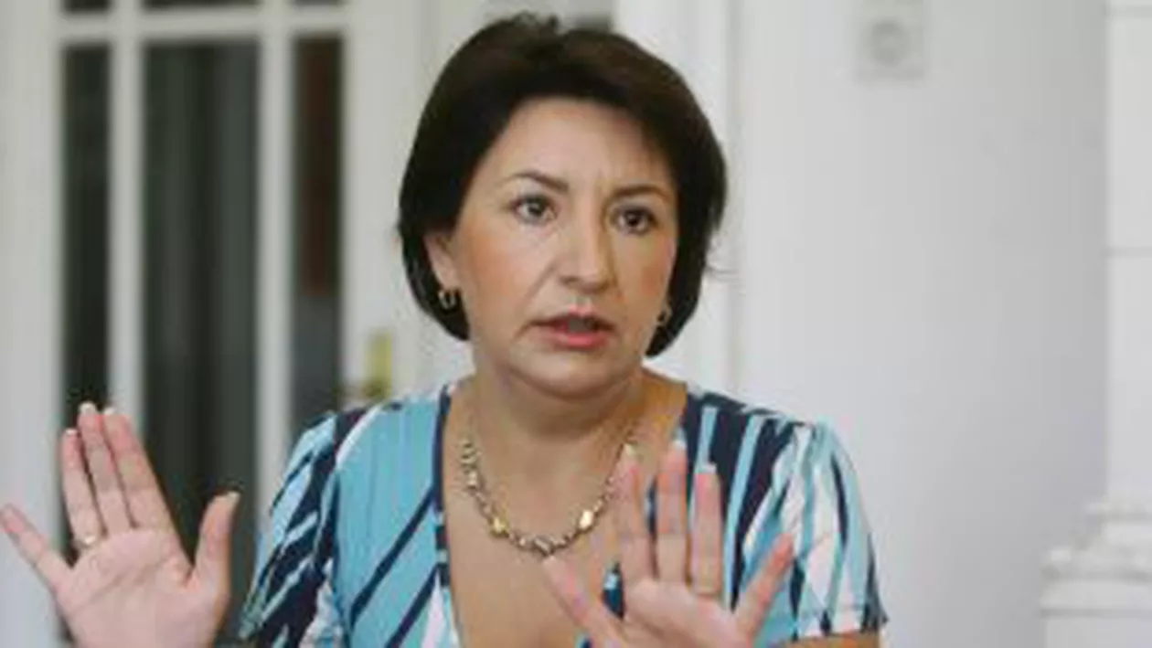 Sulfina Barbu: Premierul Emil Boc, mai bun decât Berlusconi sau Papandreou