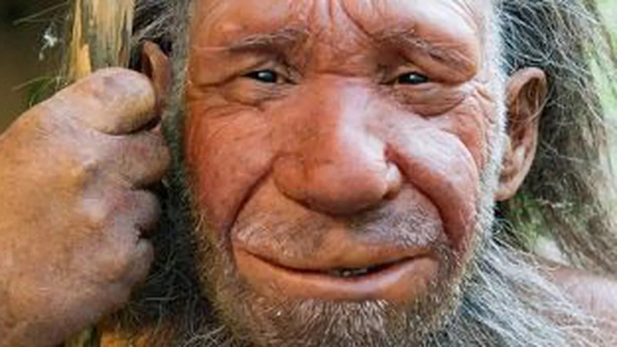 De ce a dispărut omul din Neanderthal. Cele mai recente descoperiri ale oamenilor de știință