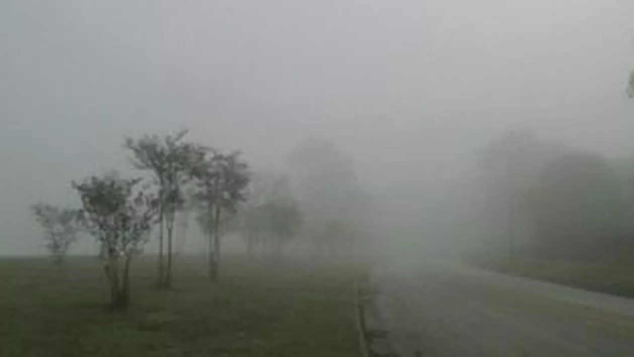 Avertizare ANM: Condiții de ceață, polei și burniță în sudul, estul și centrul țării