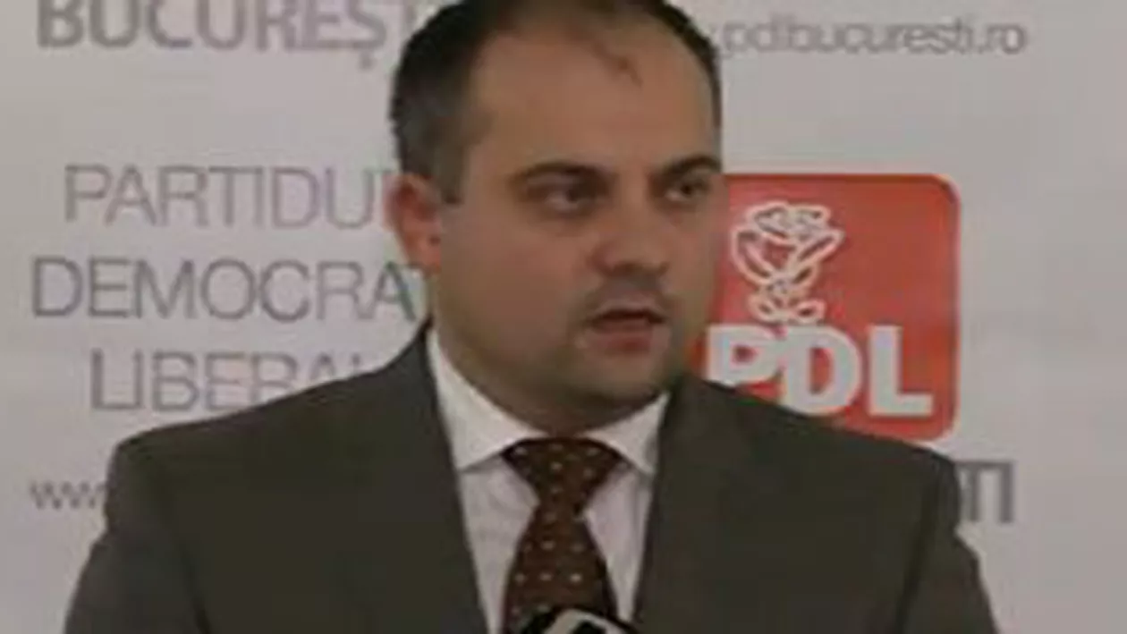 Soluții pentru legea câinilor comunitari: PDL vrea să lanseze un tel verde pentru cei care vor să adopte maidanezi