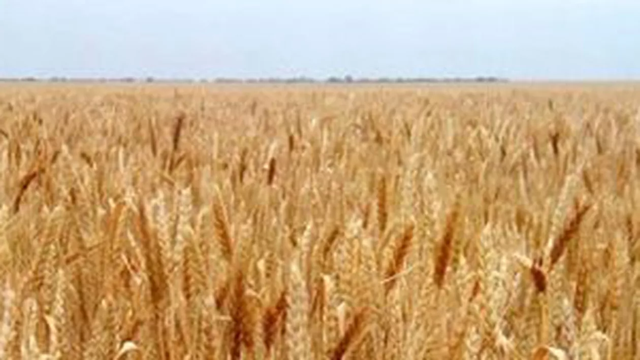 Topul țărilor care și-au vândut pământul străinilor: România, lider european cu 7%