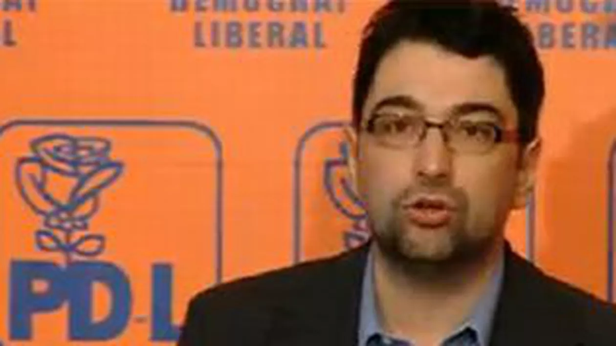 Sever Voinescu: PDL va continua eforturile unui diaolog politic deschis