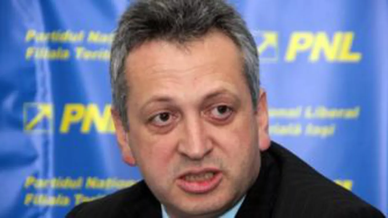 Avionul în care se afla deputatul Relu Fenechiu, întors la sol din cauza unor probleme la motoare