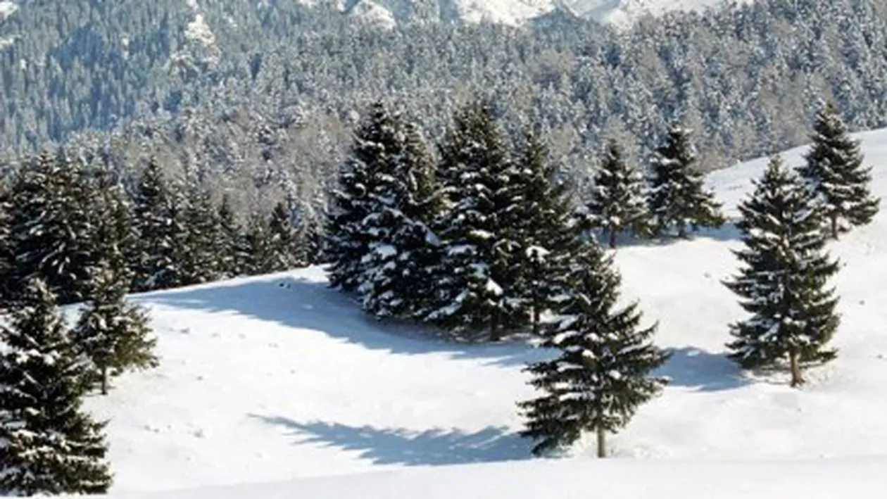 Risc maxim de avalanșă în Bucegi: Telecabina din Bușteni a fost oprită
