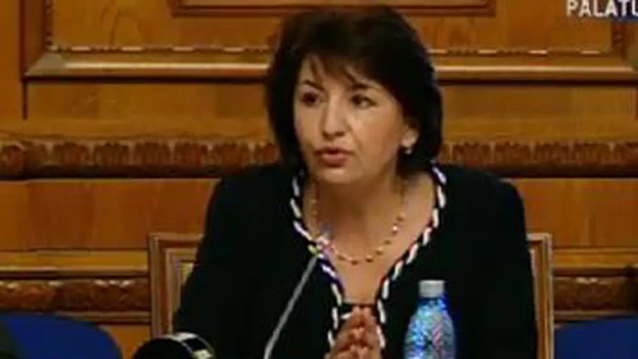 Ministrul Muncii, Sulfina Barbu: Trebuie să ne concentrăm pe formarea profesională și pe atragerea de investitori în mediul rural