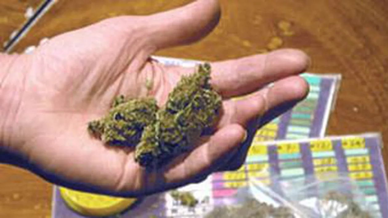 Nepoata vicepreşedintelui Consiliului Județean Vâlcea, arestată pentru trafic de droguri