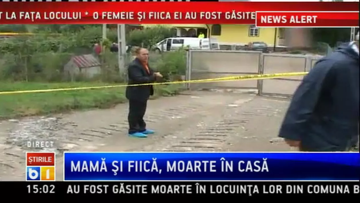 O milionară din Anglia și-a lăsat averea pisicii ei. Află cât a moștenit cel mai bogat motan din lume