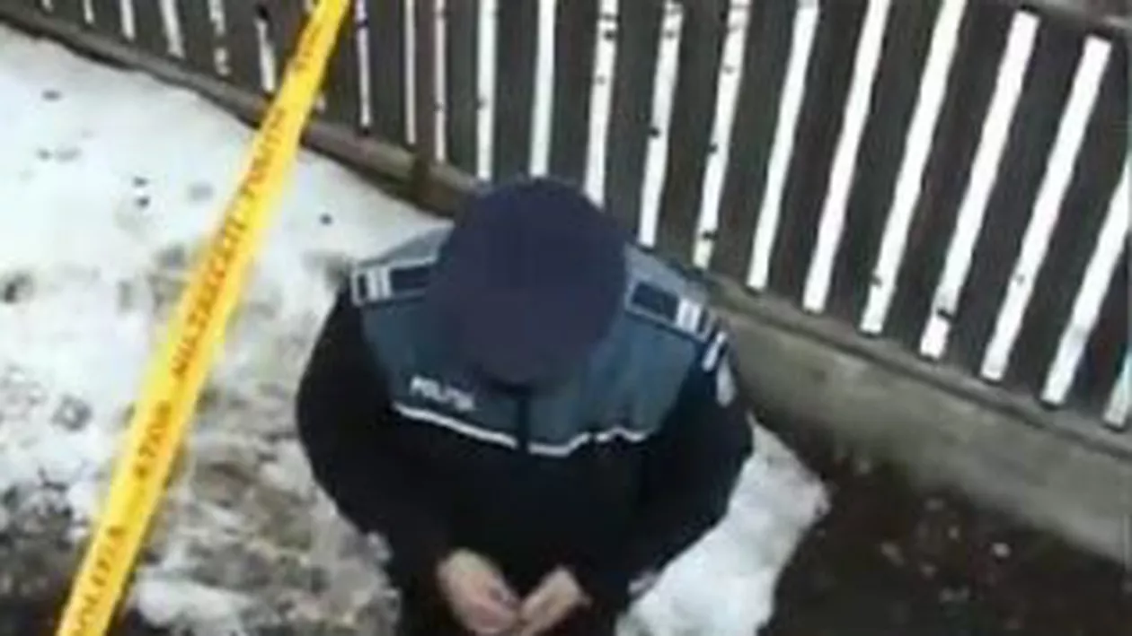 Cluj: Un câine a fost împușcat cu o armă cu bile de un fost comisar de poliţie pentru că făcea zgomot