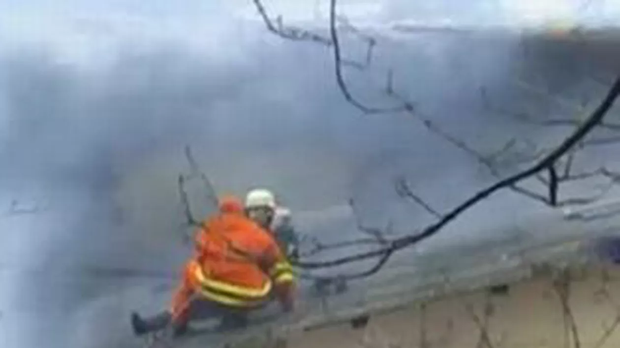 Incendiu de proporții la Brașov: Uscătoria unei fabrici de cherestea din Hălchiu a luat foc