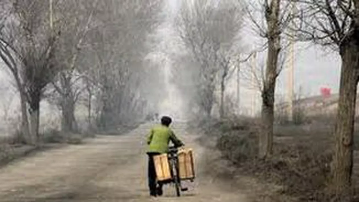 Șase regiuni din România, printre cele mai sărace 20 de zone din UE