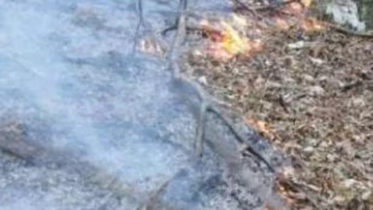 Infotrafic: Incendiile de vegetație s-au înmulțit. Șoferii sunt rugați să evite perdelele de fum