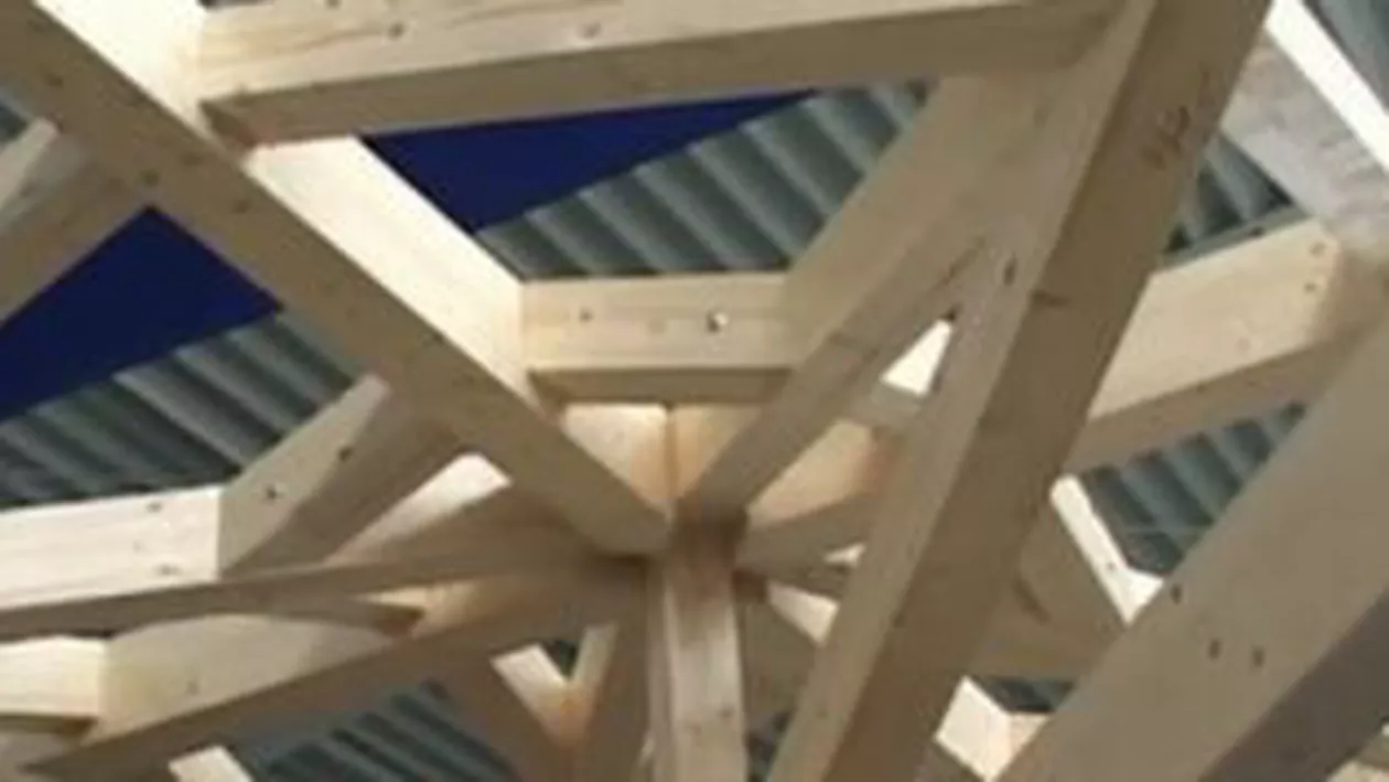 Târg de case eco la Arad: Locuințe izolate cu hârtie de ziar sau stâlpi de iluminat ecologici, printre soluțiile oferite de dezvoltatori (VIDEO)