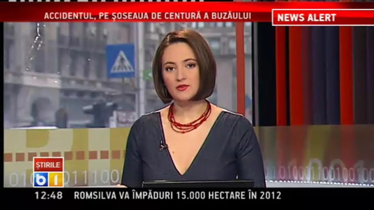 Moartea lui Kim Jong-IL, omagiată de natură: Furtuni de zăpadă pe un munte sacru și un cocor „cu capul plecat” i-au salutat memoria