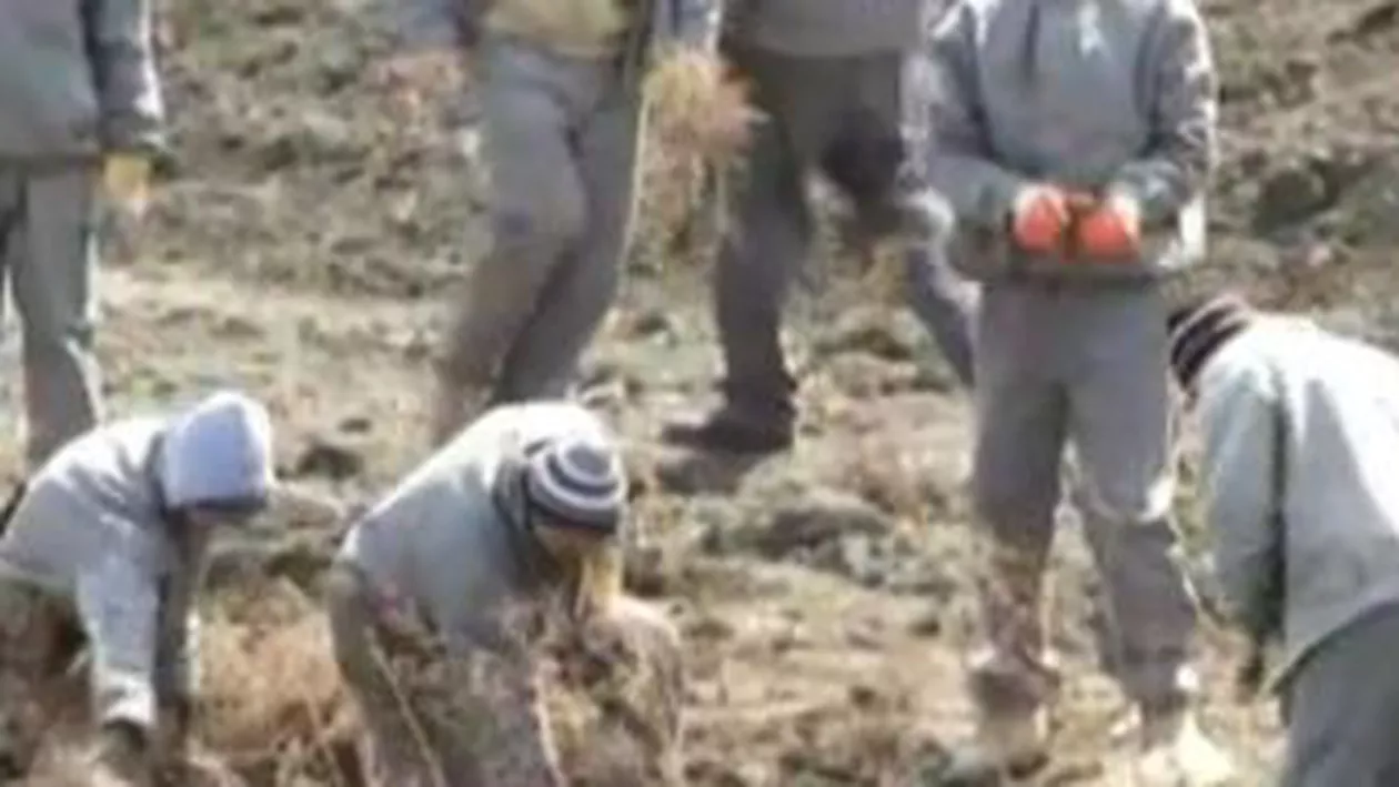 Două bombe din Al Doilea Război Mondial, descoperite pe malul unui râu din Iași și aruncate în apă