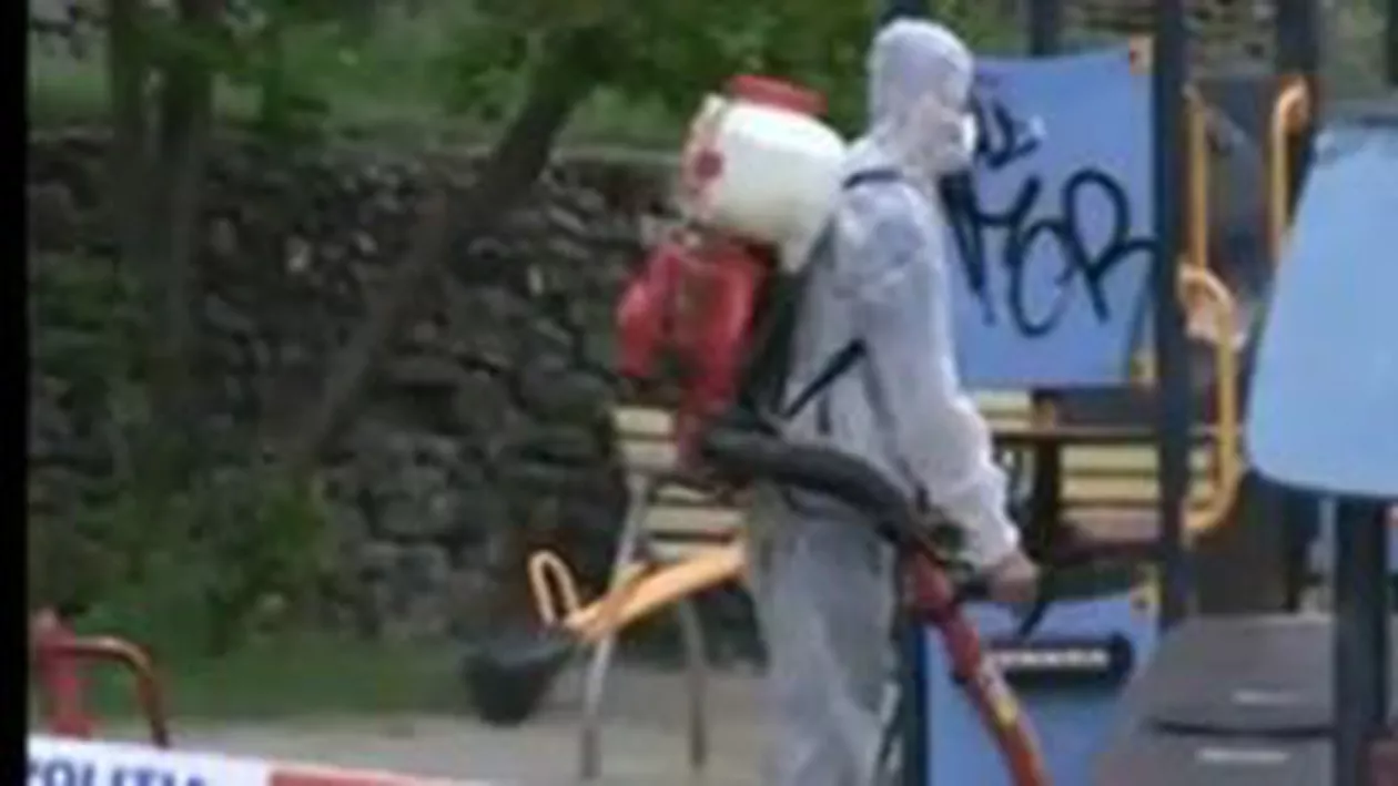 Începe lupta anti-căpușe în București: Parcurile sunt stropite, după ce zeci de persoane au fost înțepate