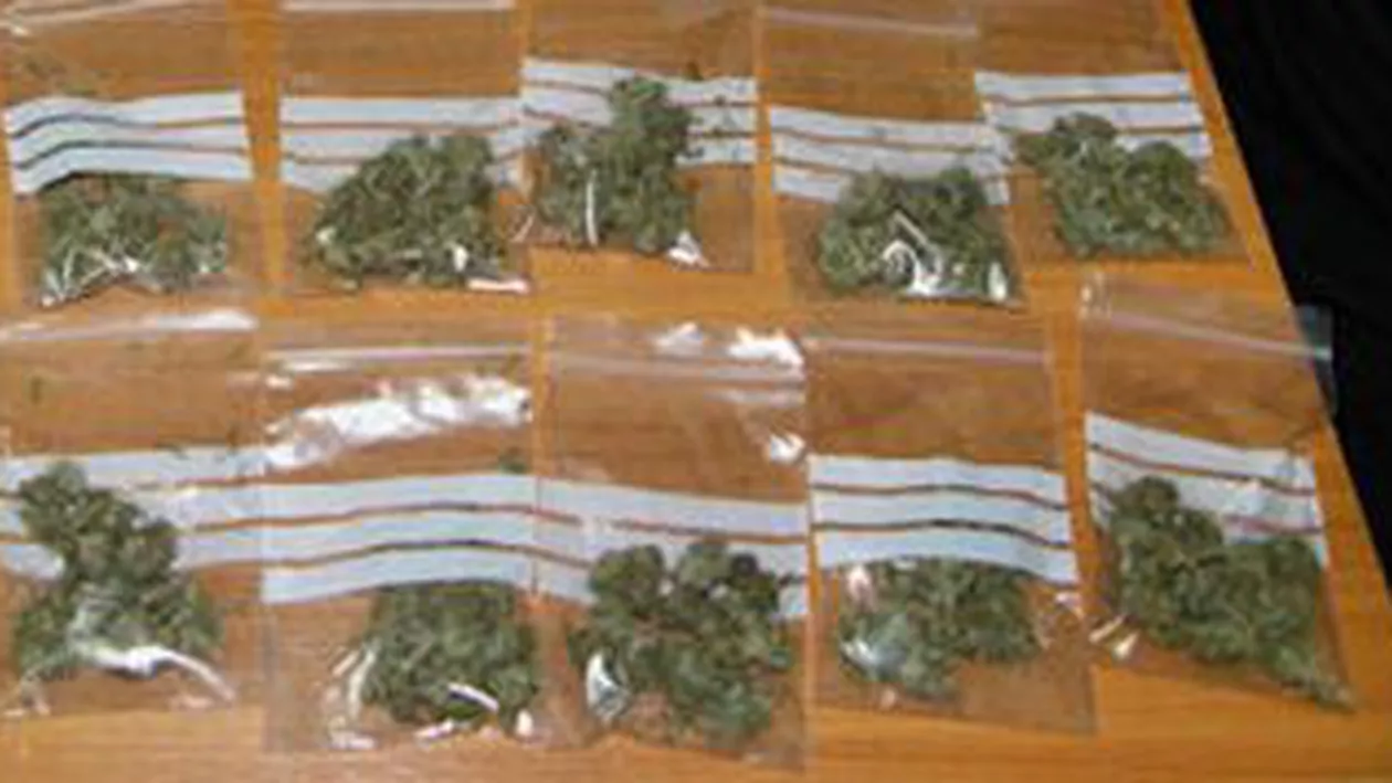 Cetățean bulgar reținut de DIICOT, după ce în camionul său au fost găsite o sută de kilograme de muguri de cannabis