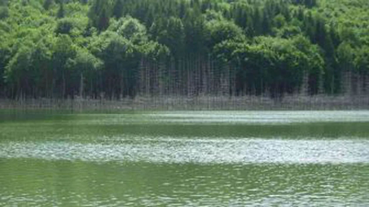 Un tânăr de 17 ani, dat dispărut într-un lac din Bistriţa