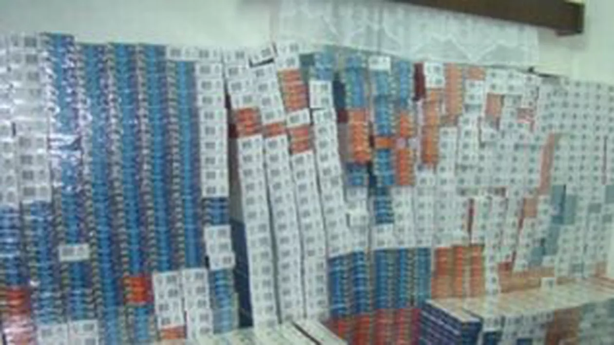 Focuri de armă în portul Constanţa pentru prinderea unui contrabandist de țigări