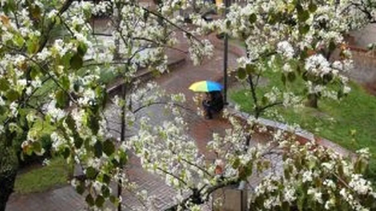 Vremea se menține caldă, dar instabilă. Vezi prognoza meteo