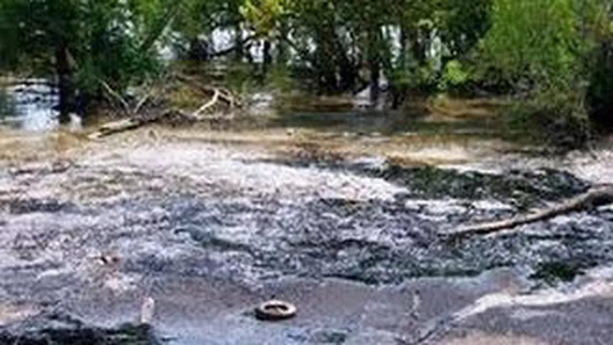 Pată de petrol de 3 kilometri pe râul Cotmeana din Argeș. Țițeiul, de la o conductă avariată (IMAGINI EXCLUSIVE)