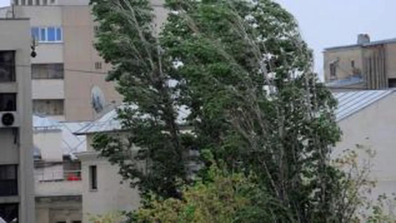 Furtună la Bistrița: 3 mașini avariate după ce un acoperiș a căzut peste ele. DN 17C, blocat după ce un copac a căzut pe șosea