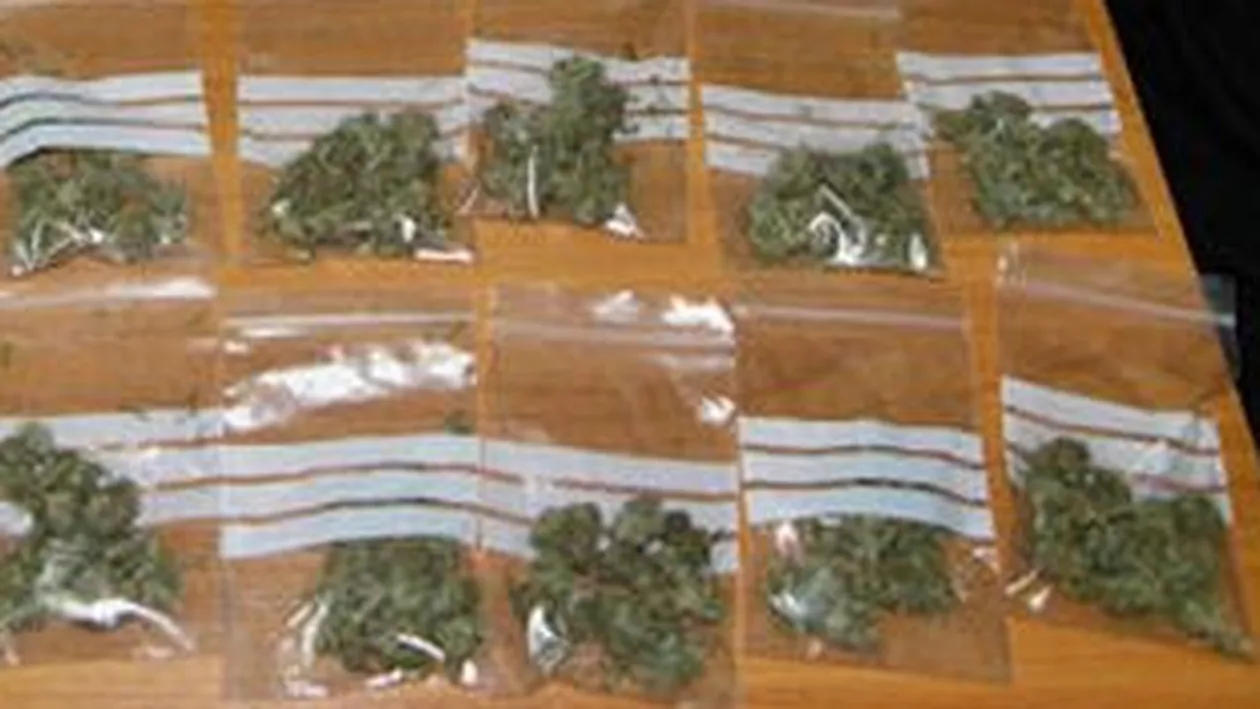 Percheziții în trei județe și în București. Sunt vizate zeci de persoane care se ocupă cu traficul de droguri