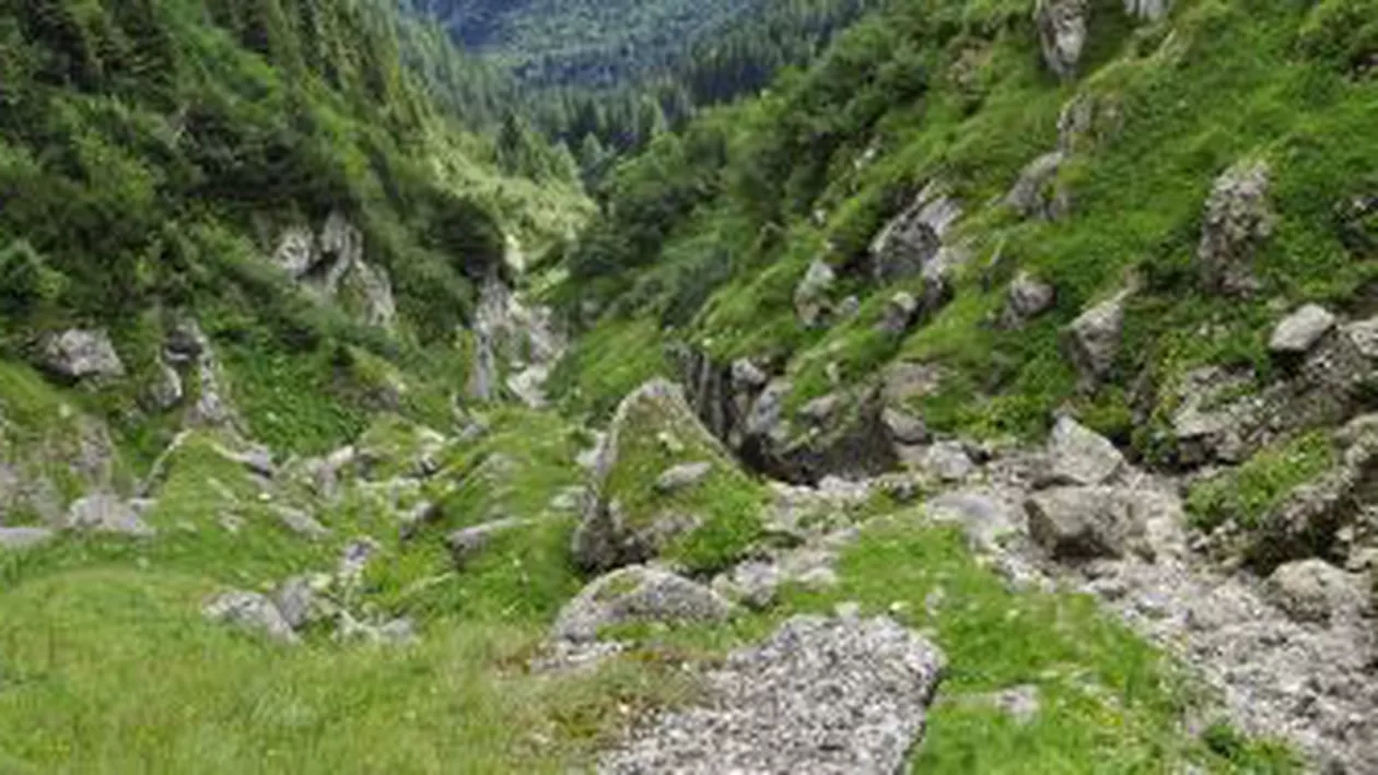 Turistul luat de viitură în Masivul Bucegi a fost găsit mort