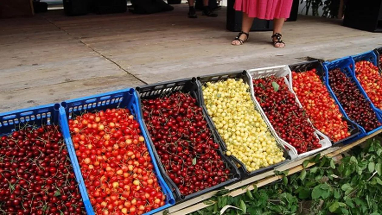 Festivalul Cireșelor în Bistrița-Năsăud: Vizitatorii au avut la dispoziție peste două tone de cireșe