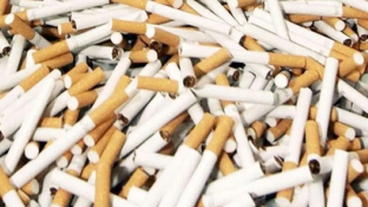 Timiș: Polițiștii au descoperit peste 20.000 de pachete de țigări de contrabandă din Serbia