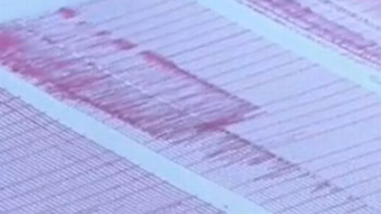 Un cutremur de 4,3 pe scara Richter s-a produs în Vrancea