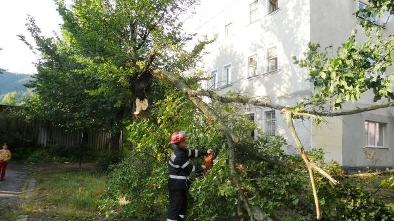 Furtună puternică în județul Neamț: Au fost doborâți de vânt 33 de arbori și au fost avariați 7 stâlpi electrici